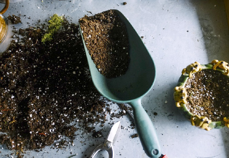 wells greenhouses and landscape specials